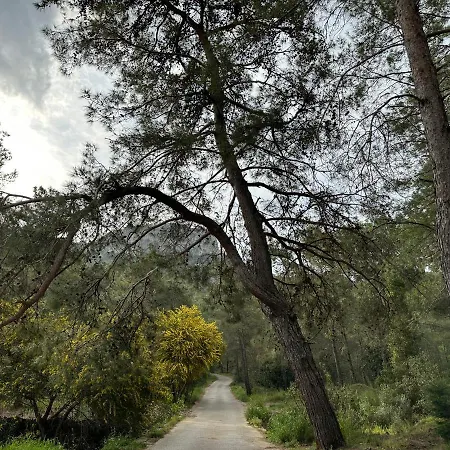 Naturella 3* Kemer